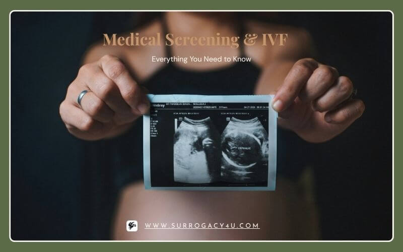 surrogacy process ivf medical procedure 