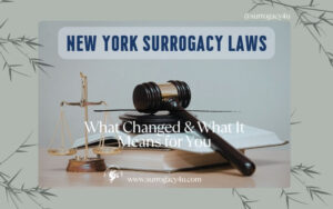surrogacy in nyc in laws