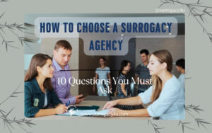 best surrogacy programs in the us 